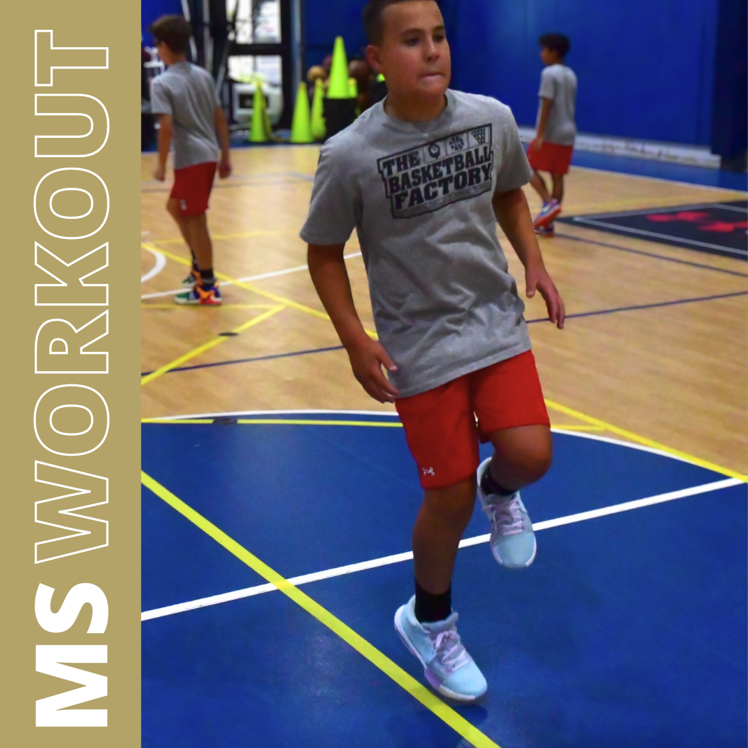 MS Spring Circuit Skill Training - Basketball Training Sparta NJ